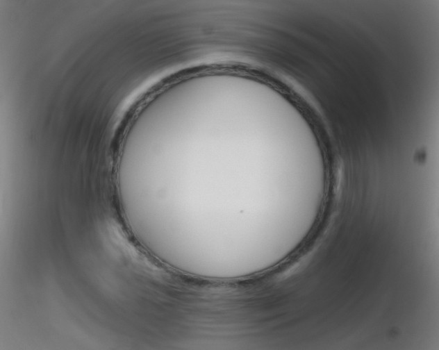 X0000116791021200912181049