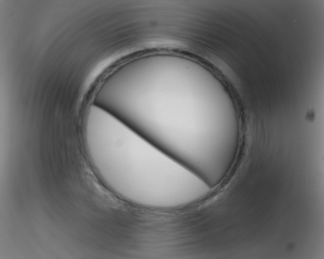X0000116791022200912181049