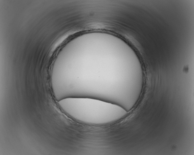 X0000116791023200912181049