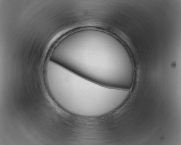 X0000116791024200912181049