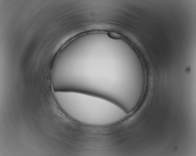 X0000116791025200912181049