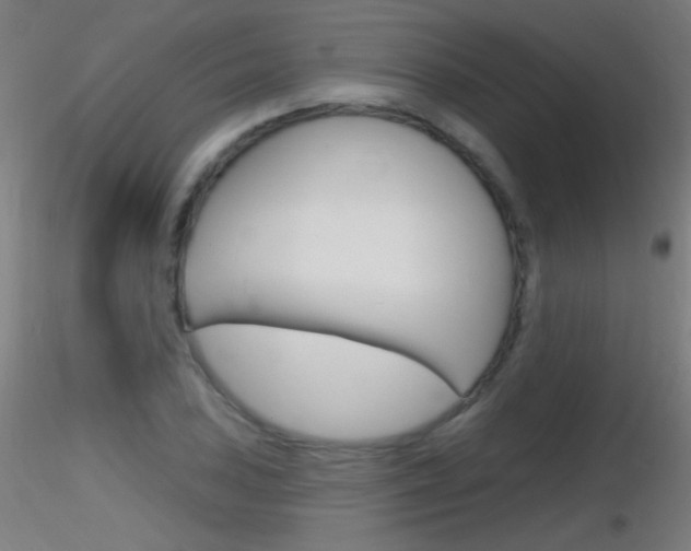 X0000116791027200912181049