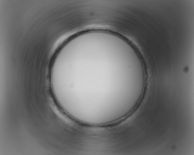 X0000116791030200912181049