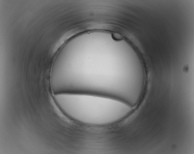 X0000116791033200912181049