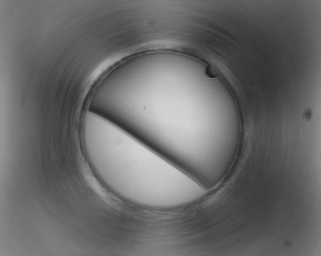 X0000116791034200912181049