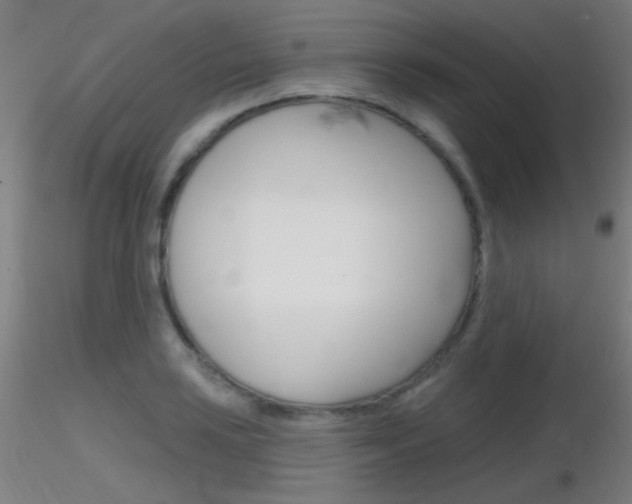 X0000116791035200912181049