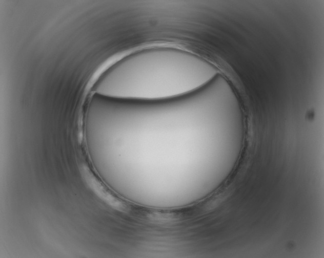 X0000116791036200912181049