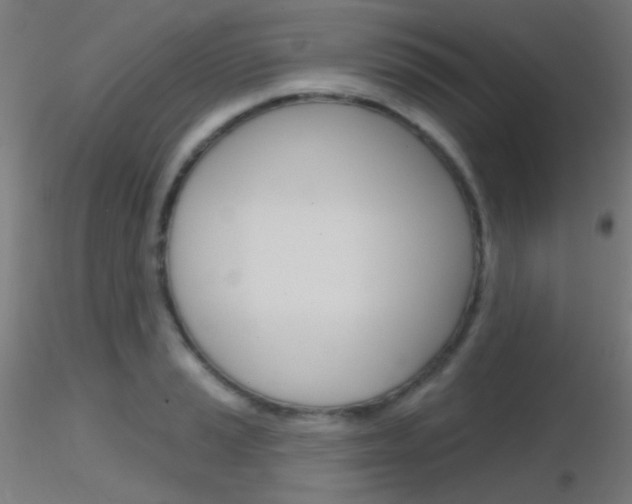 X0000116791037200912181049