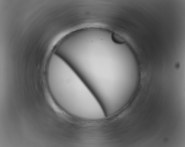 X0000116791038200912181049