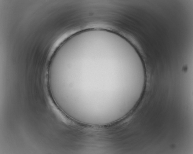 X0000116791040200912181049