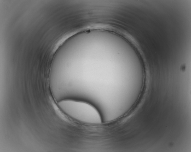 X0000116791041200912181049