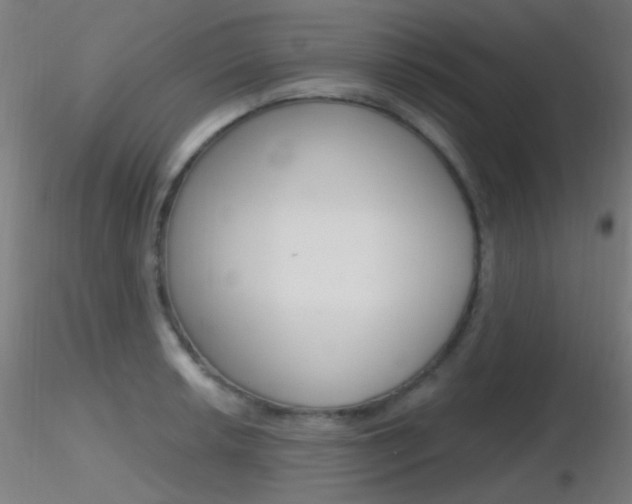 X0000116791042200912181049