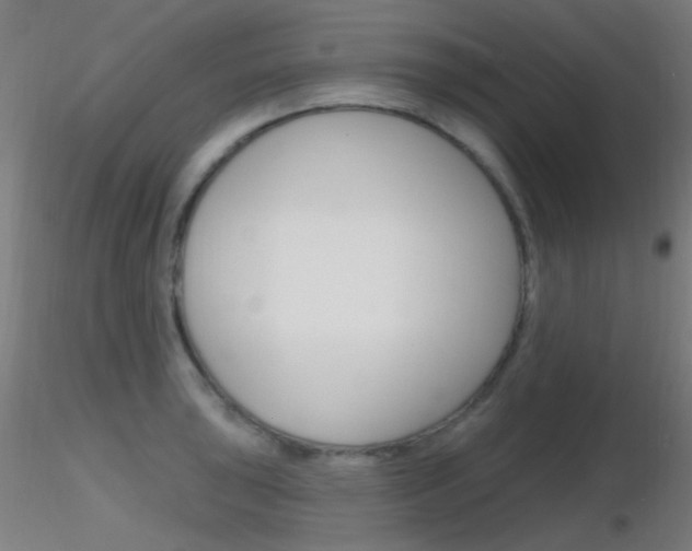 X0000116791043200912181049