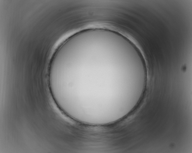 X0000116791045200912181049