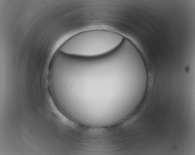 X0000116791046200912181049