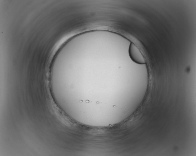 X0000116791051200912181049