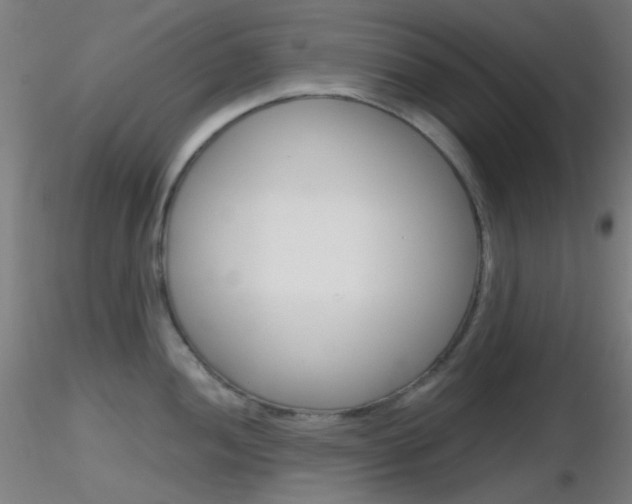 X0000116791052200912181049