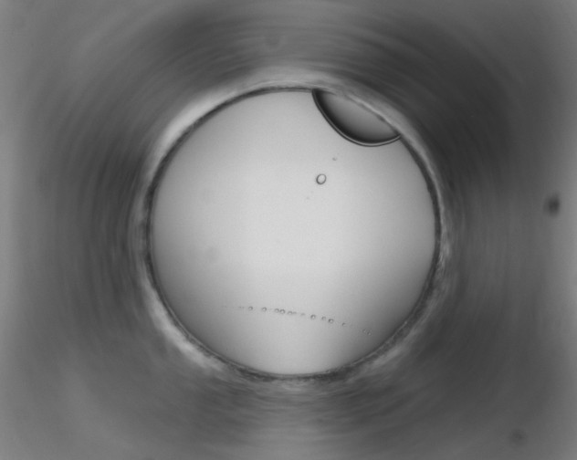 X0000116791053200912181049