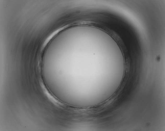 X0000116791054200912181049