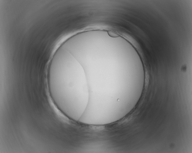 X0000116791055200912181049