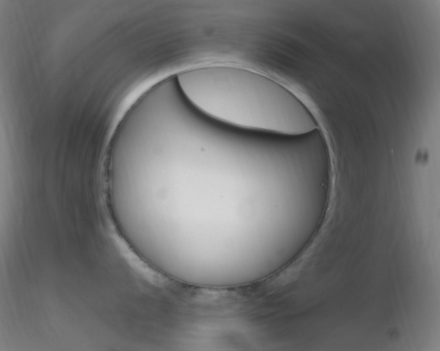 X0000116791056200912181049