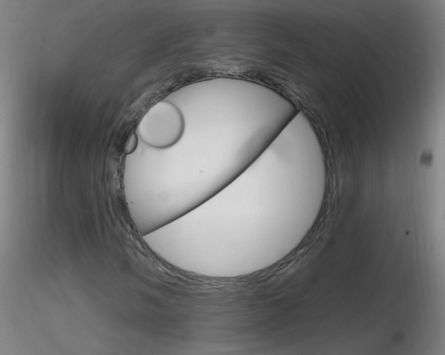X0000116791058200912181048