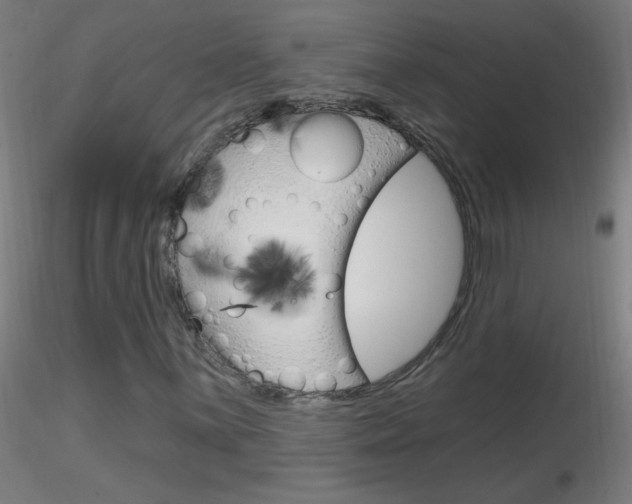 X0000116791059200912181048