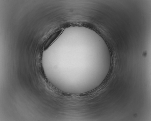 X0000116791060200912181048