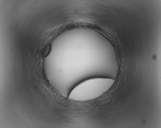X0000116791061200912181048