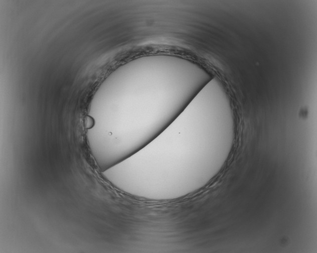 X0000116791062200912181048