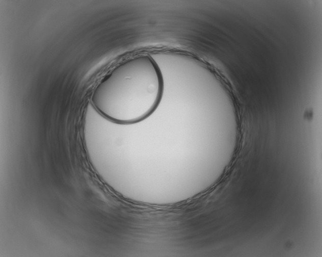 X0000116791064200912181048