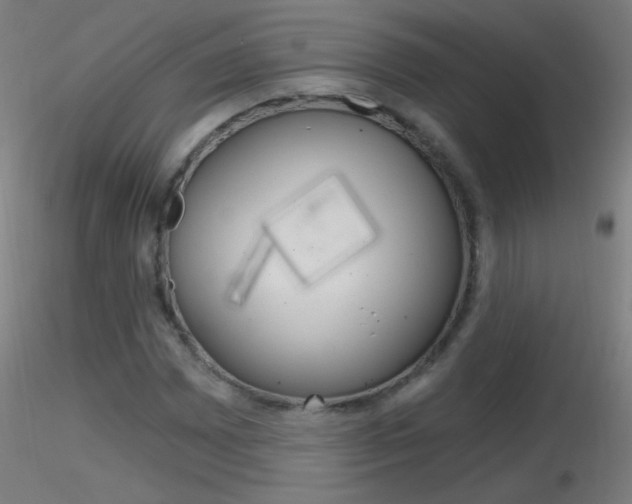 X0000116791065200912181048