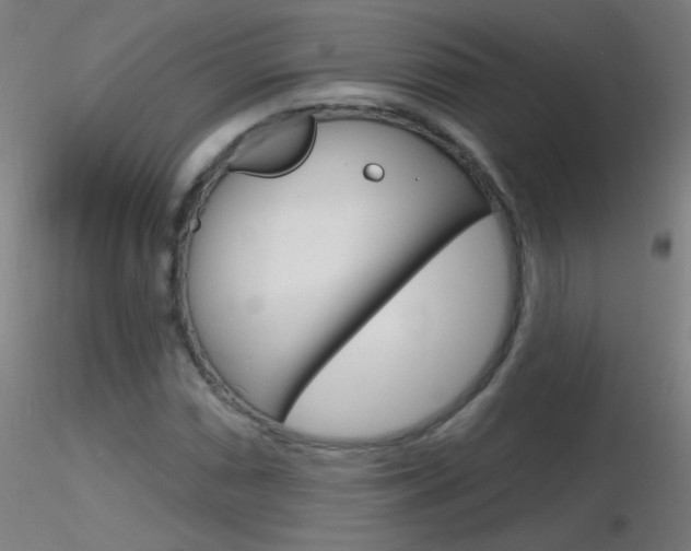 X0000116791066200912181048