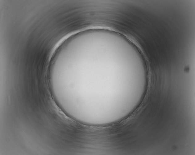X0000116791068200912181048