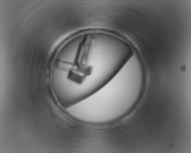 X0000116791069200912181048