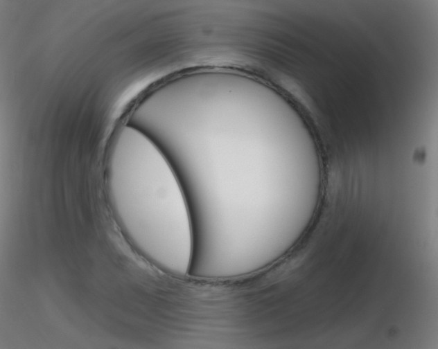 X0000116791071200912181048