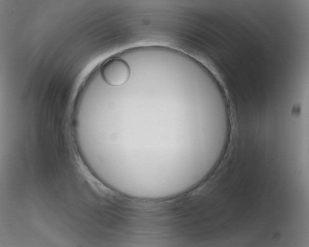 X0000116791072200912181048
