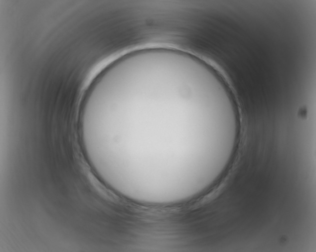 X0000116791077200912181048