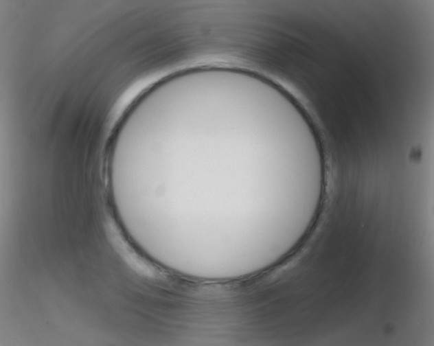 X0000116791078200912181048