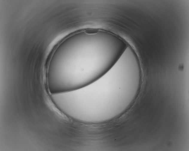 X0000116791080200912181048
