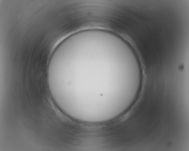 X0000116791081200912181048