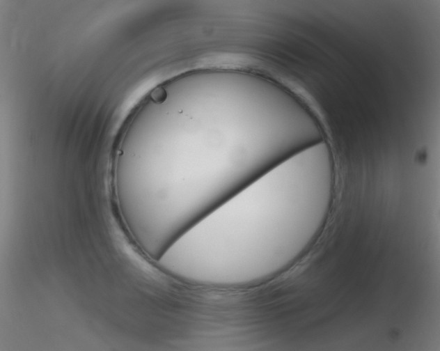 X0000116791083200912181048