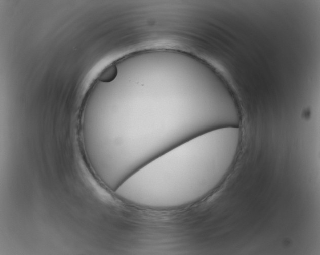 X0000116791086200912181048