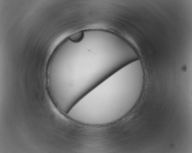 X0000116791087200912181048