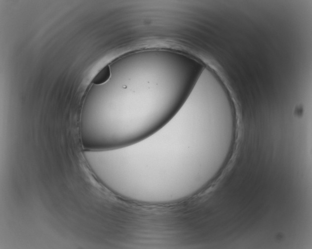 X0000116791089200912181048