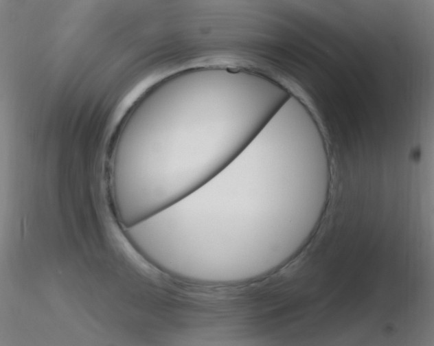 X0000116791091200912181048