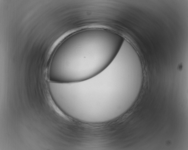 X0000116791092200912181048