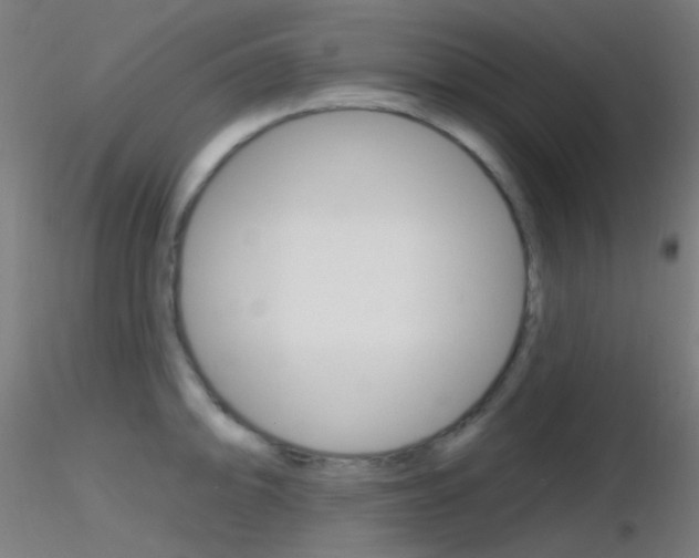 X0000116791094200912181048