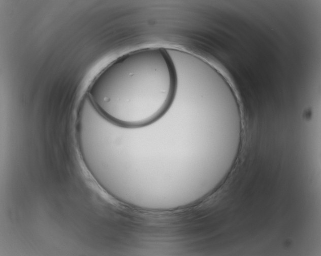 X0000116791096200912181048