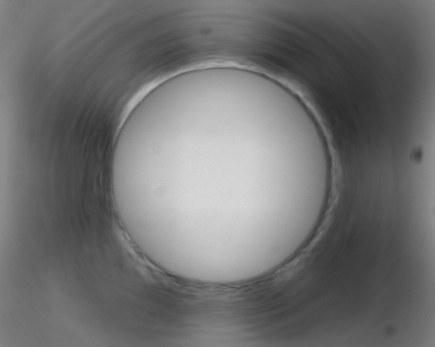 X0000116791097200912181048